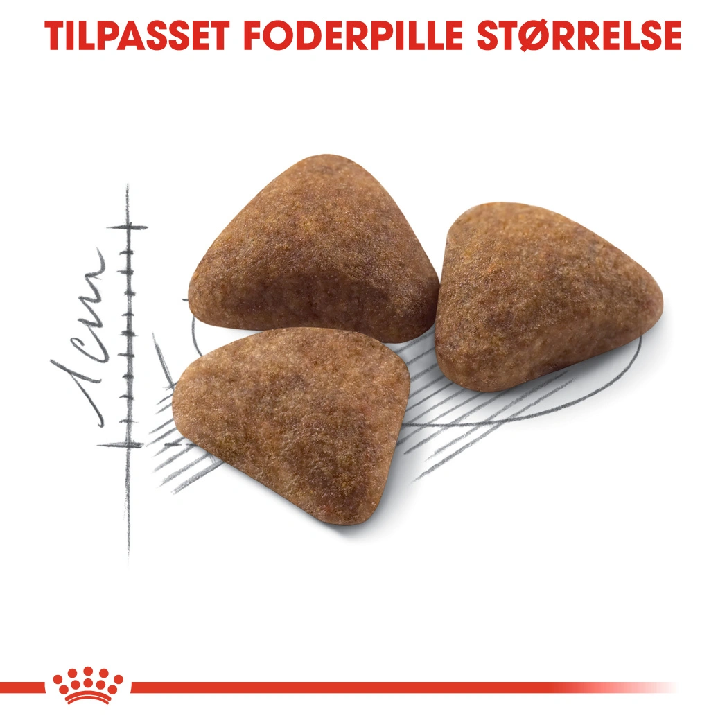 Royal Canin Home Life Indoor 400 g